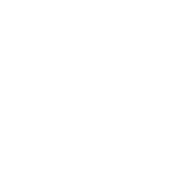 team icon